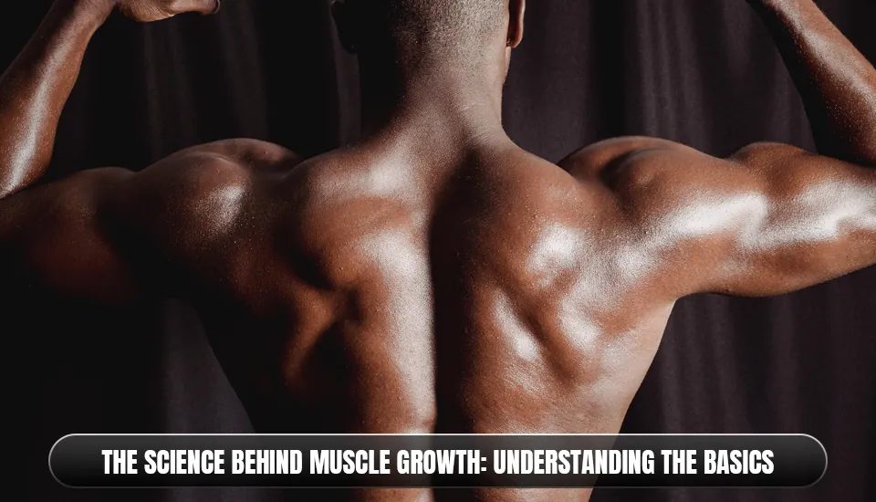 The Science Behind Muscle Growth